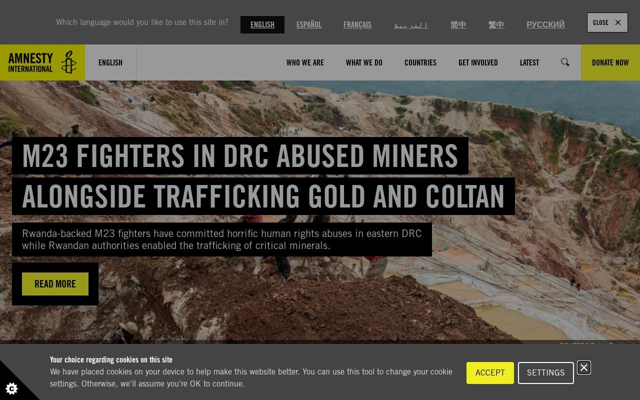 Screenshot of amnesty.org